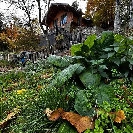 Calikusu Dag Evi Chalet