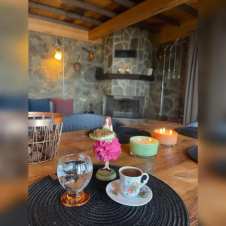 Chalet Calikusu Dag Evi