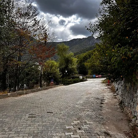 Calikusu Dag Evi 伯萨