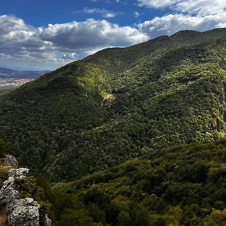 Calikusu Dag Evi 木屋 伯萨