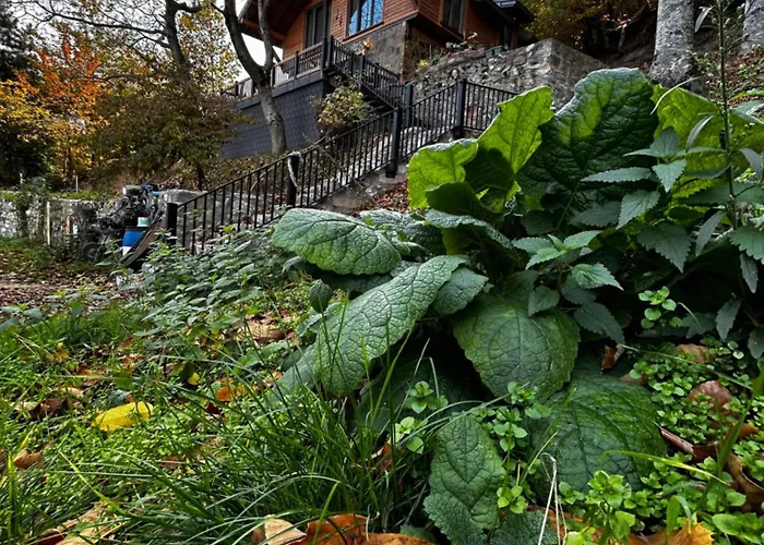 Calikusu Dag Evi בקתה