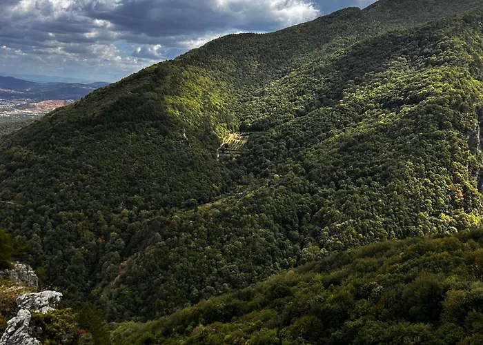 Calikusu Dag Evi בקתה בורסה