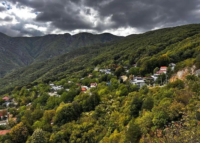 Calikusu Dag Evi בקתה בורסה